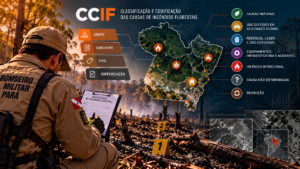 Ilustração conceitual da investigação de incêndios florestais e da organização geoespacial dos dados relacionados às suas causas.
